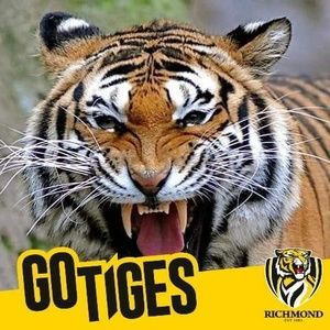 Meet your Posher, Gail